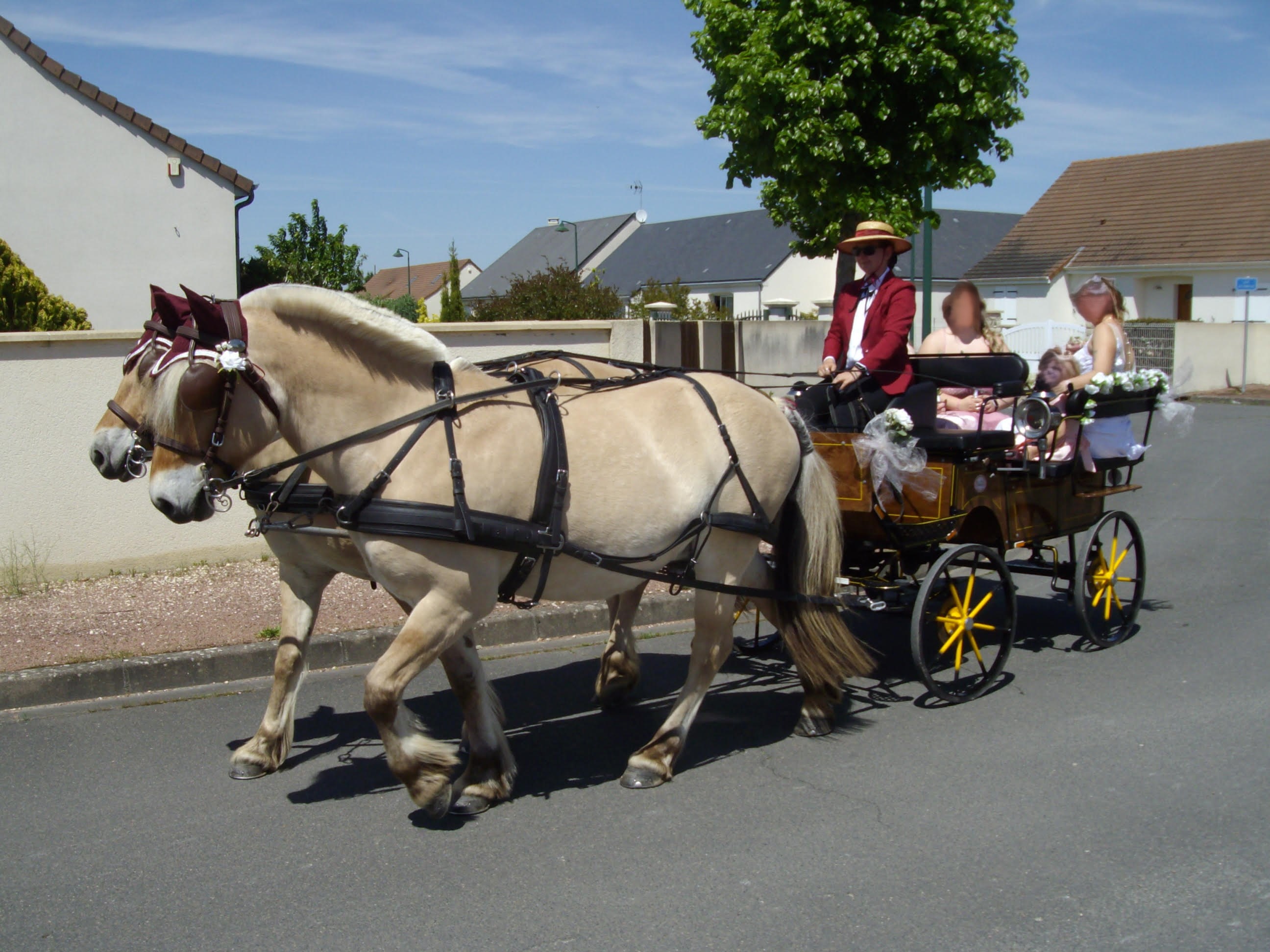 Mariage à St Claude de Diray 2024
