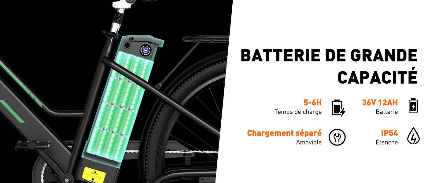 ZHIKAN Batterie De Vélo électrique 36V 48V 10.4AH 12.8AH 14AH 15AH 17.5AH Pliant Lithium Li-ION Rechargeable Batterie Avec Chargeur Et BMS Pour Moteur 500W 750W 1000W (48V 10.4AH