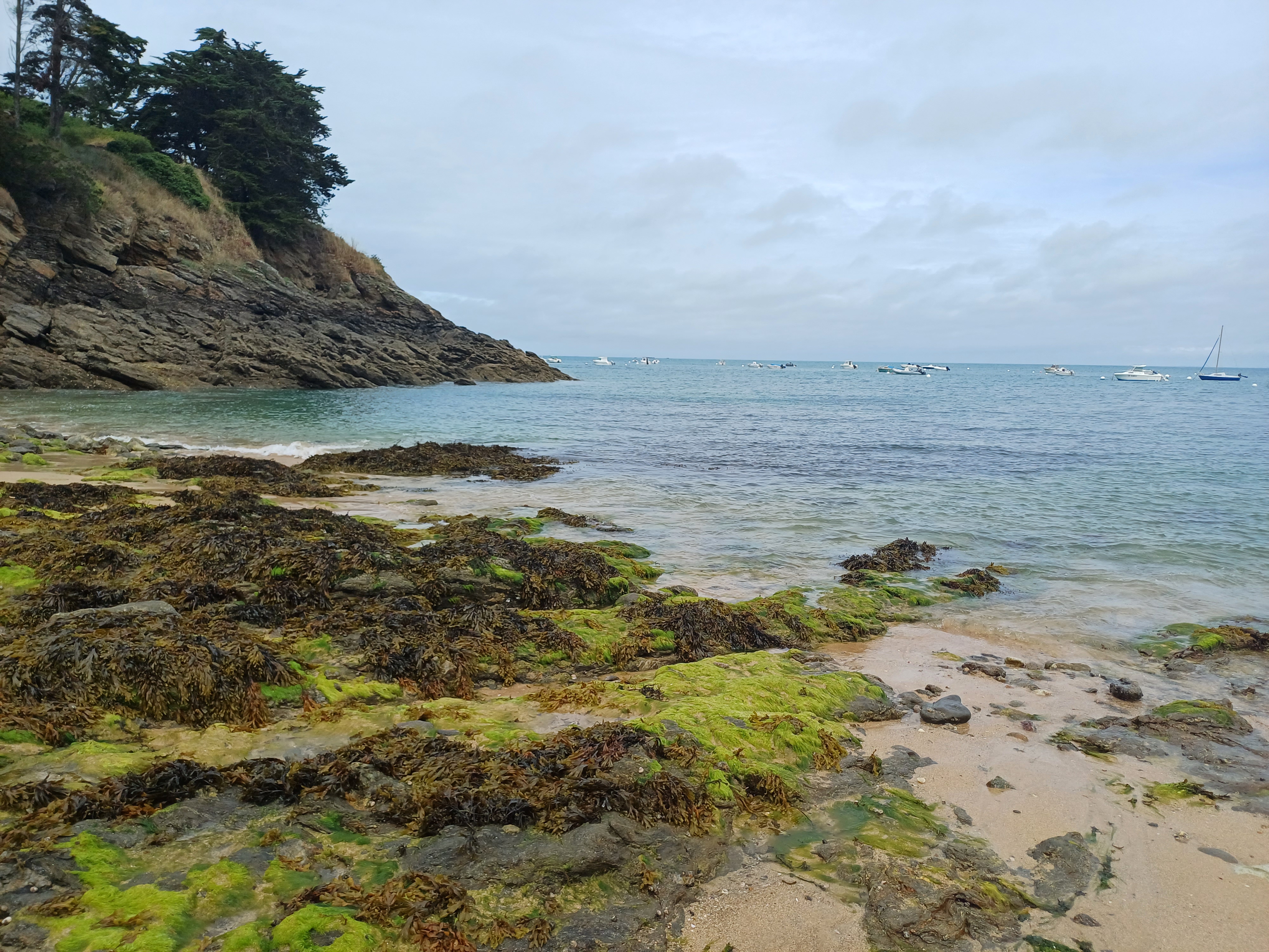 Une vue aérienne de vagues s’écrasant sur le bord de mer.