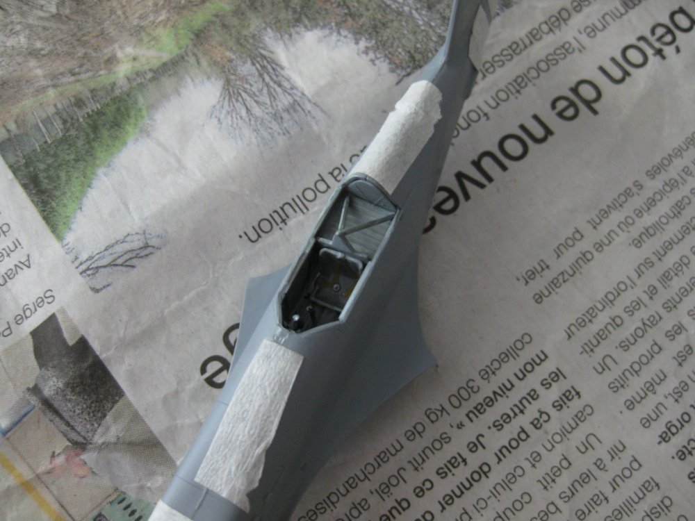 [RS Models] Morane Saulnier MS406 - FINI