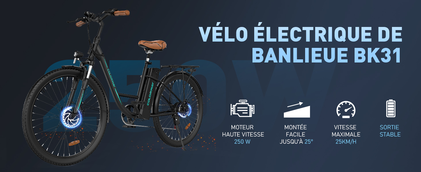 Vélo électrique Français VELAIR - 250W - 36V - Batterie 6.8Ah - Noir - Taille M