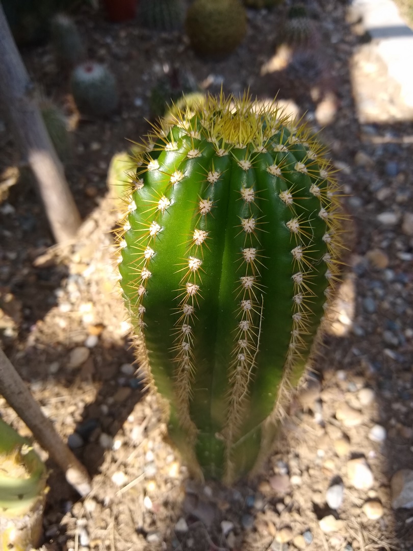 IMG_20240827_170431542 (Copier)