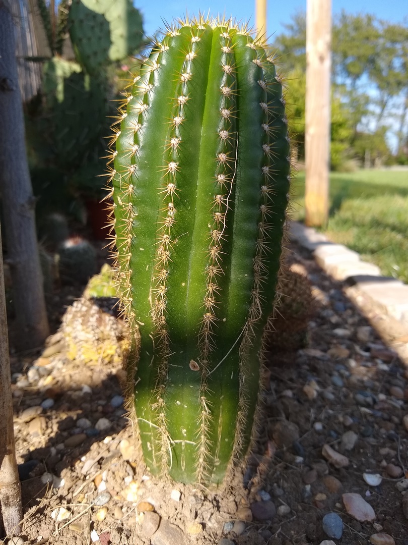 IMG_20240827_170910600 (Copier)