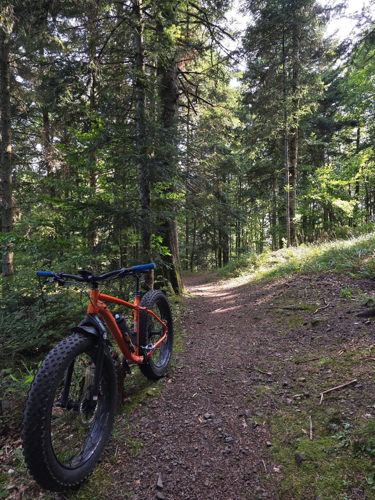 20240823_105111.jpg_compressed.