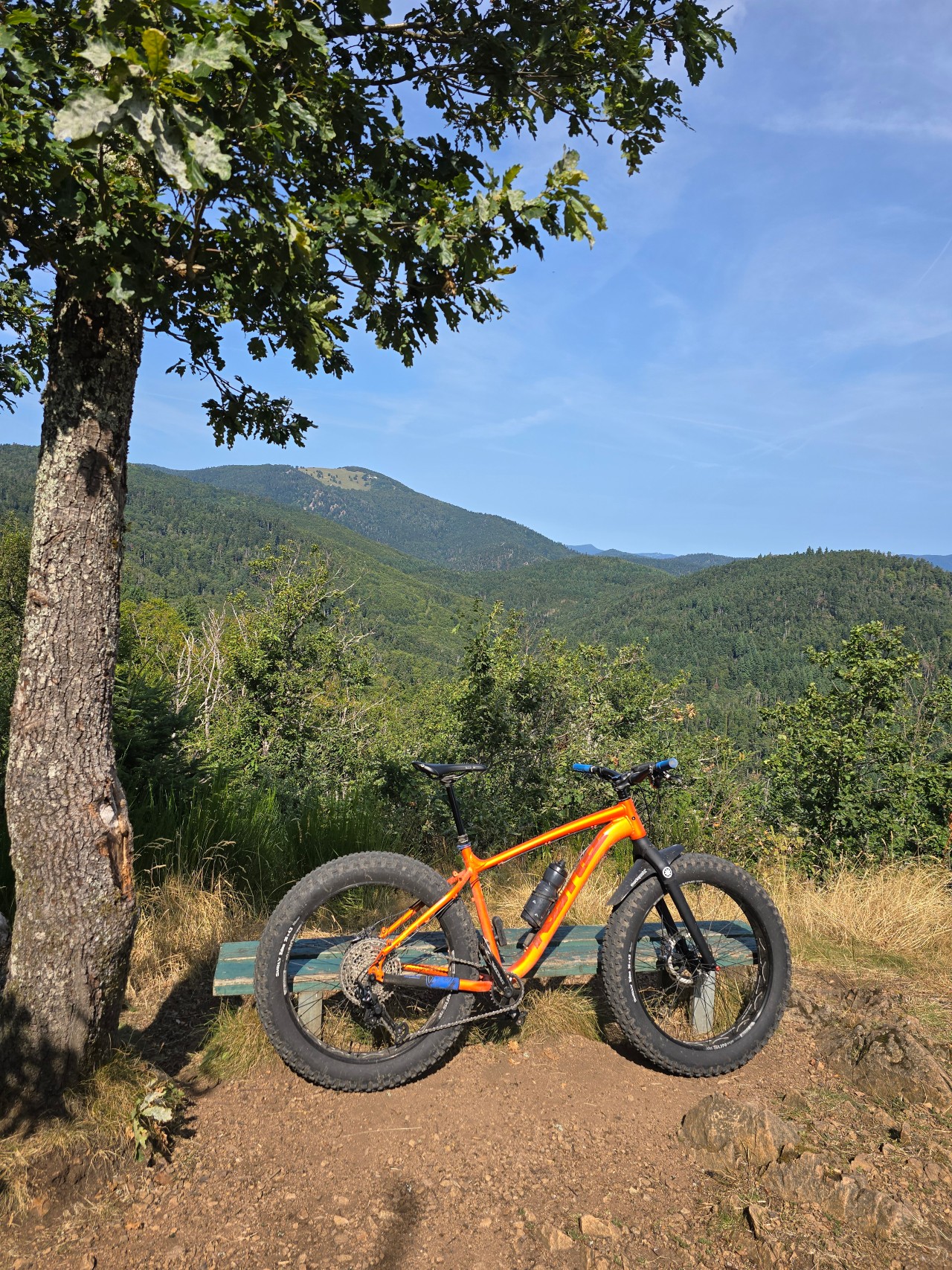 20240823_111608.jpg_compressed.