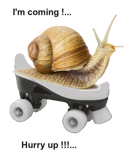 ZZZZ escargot sur patin a roulettes-tube-anglais-1111