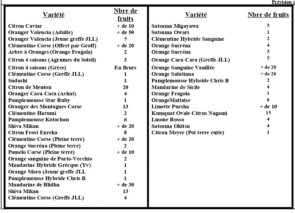 Mes variétésd'agrumes-2_page-0001