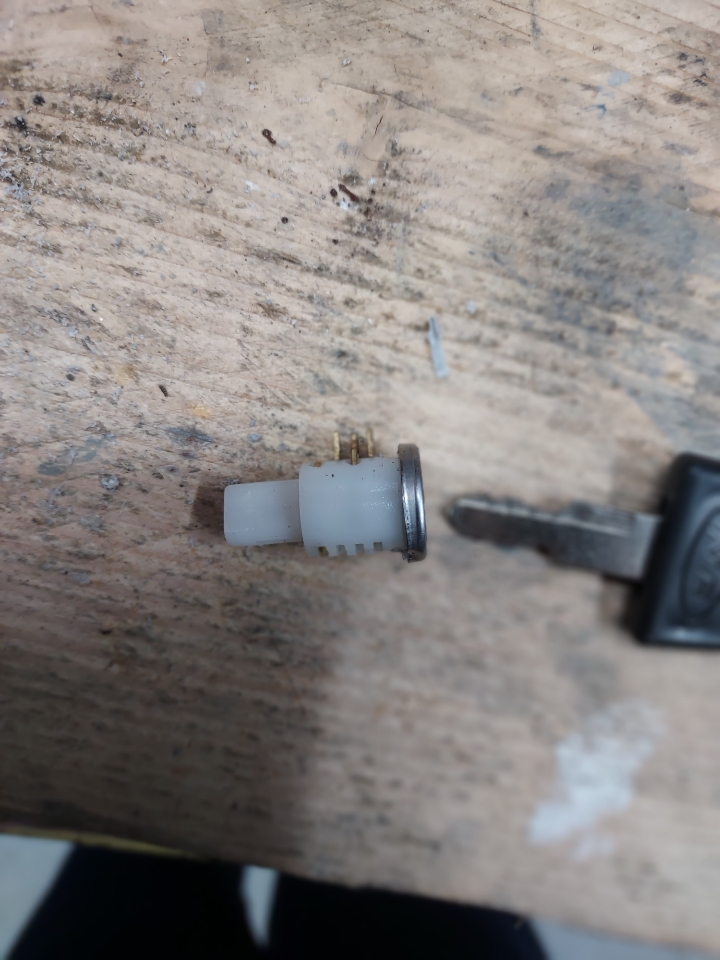 clef - Resized_20241009_173302.