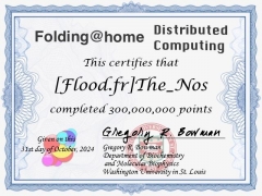 certifs plieurs - [Flood.fr]The_Nos certif=300Mpts