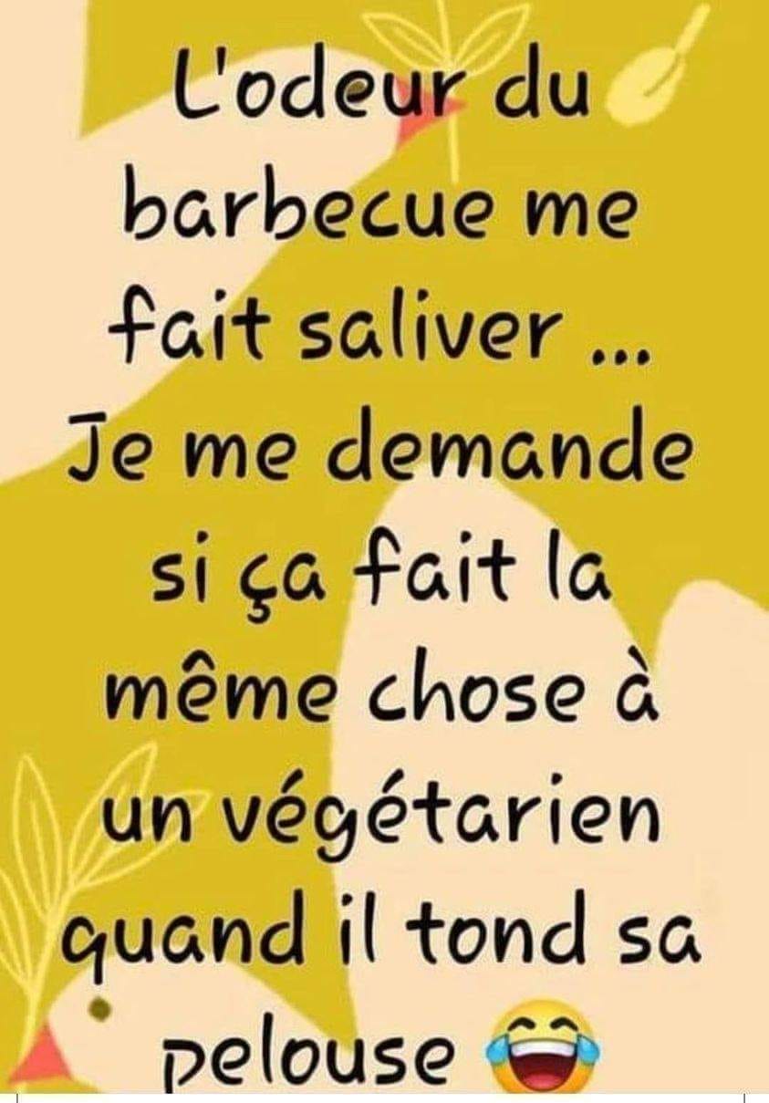 430062758_7256494397783135_1305809631381031901_n