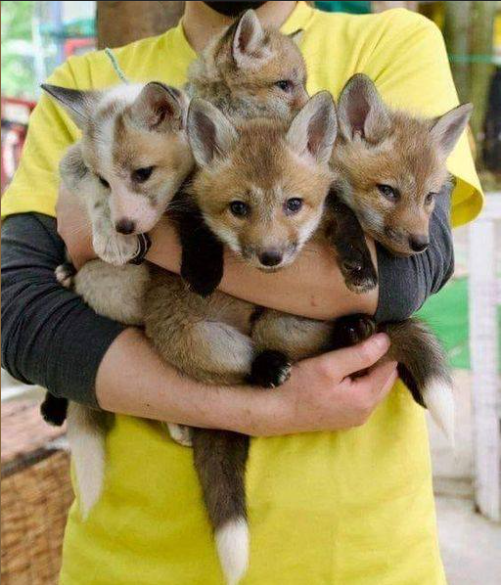 2024-11-04 22_20_31-(2) Facebook - Opera