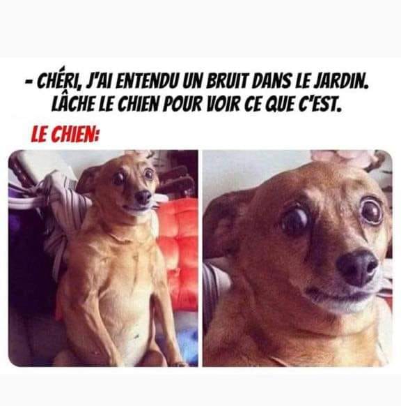 424961127_800119965493011_481935804525146412_n