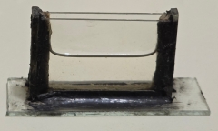 mes photos - aquarium