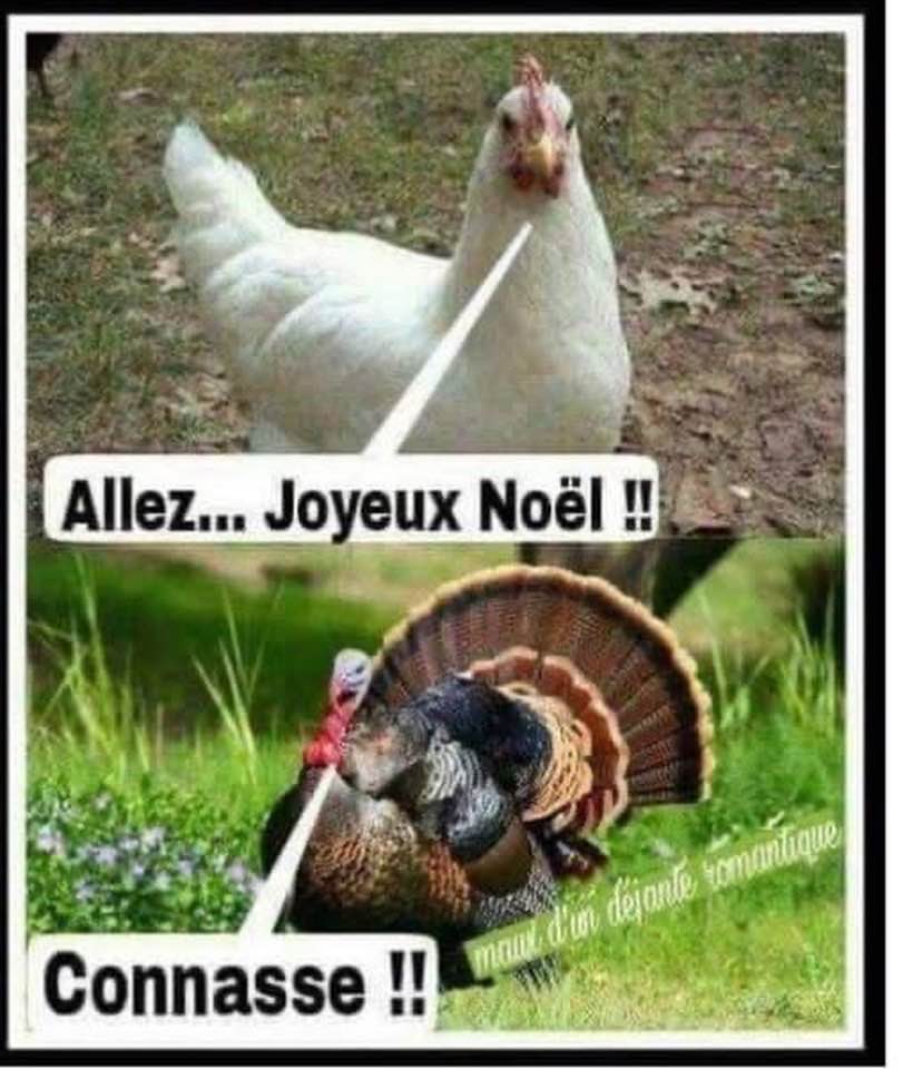 469515413_1019750086860651_3371271356469443_n