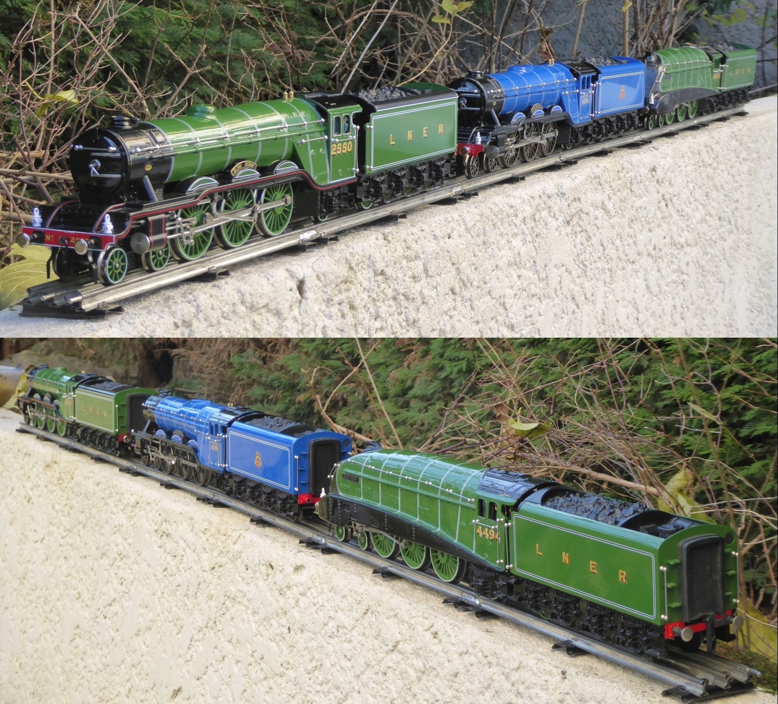 br50Tb-Blink-Bonny-Papyrus-Osprey-2.jpg