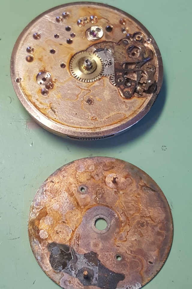 Restauration d'un chrono Rotary aquaplunge Skindiver 24122807075214657918513166