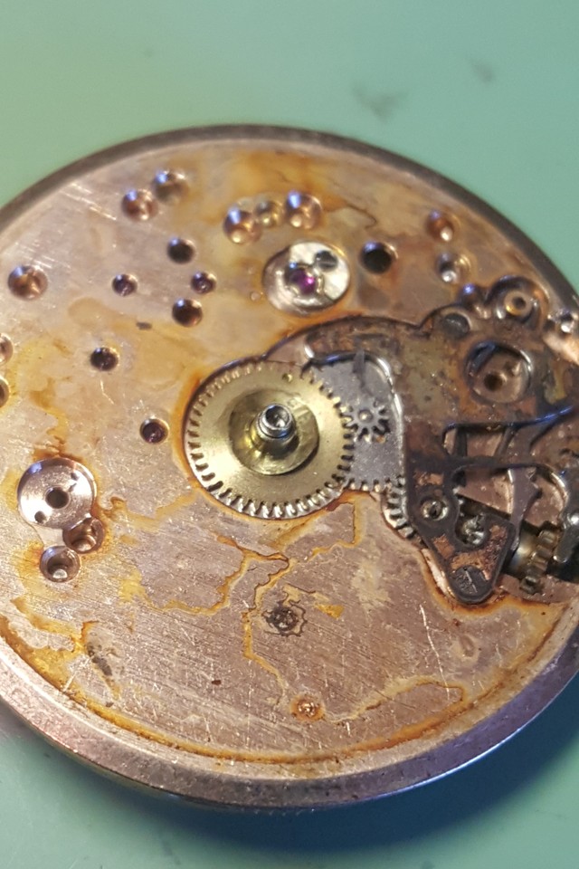 Restauration d'un chrono Rotary aquaplunge Skindiver 24122807075314657918513167