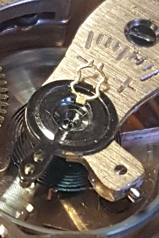 Restauration d'un chrono Rotary aquaplunge Skindiver 24122807094614657918513180