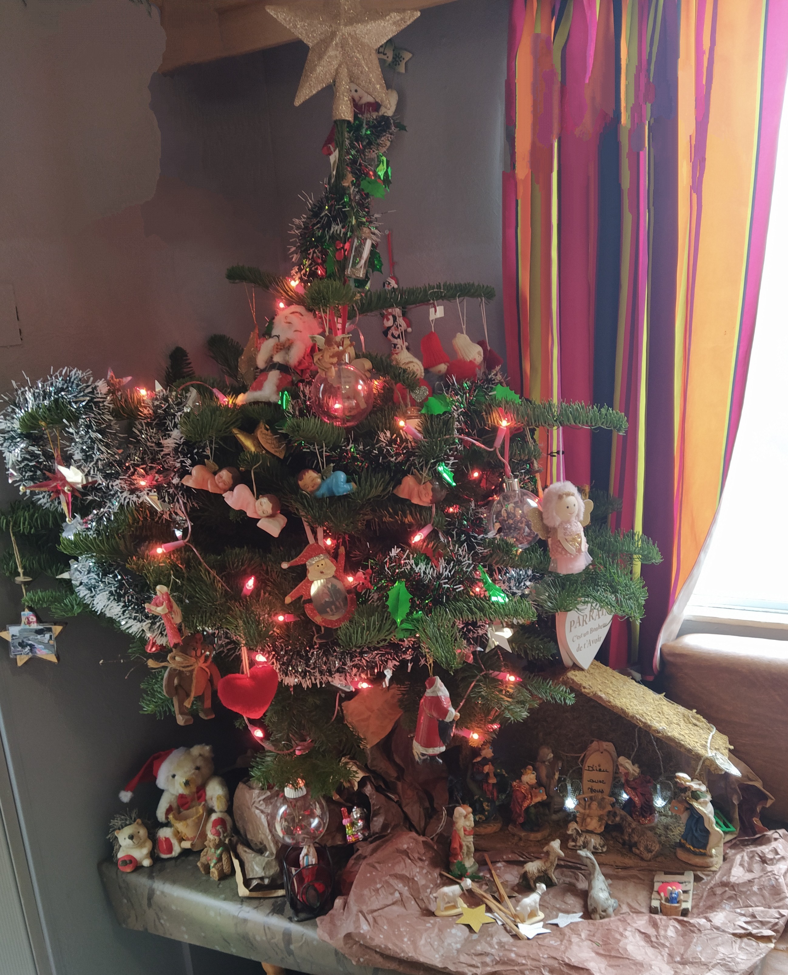 IMG_20241205_145221~2