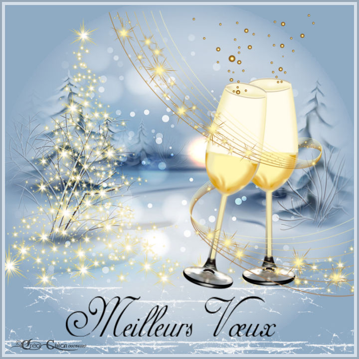 1.Nouvel An 009