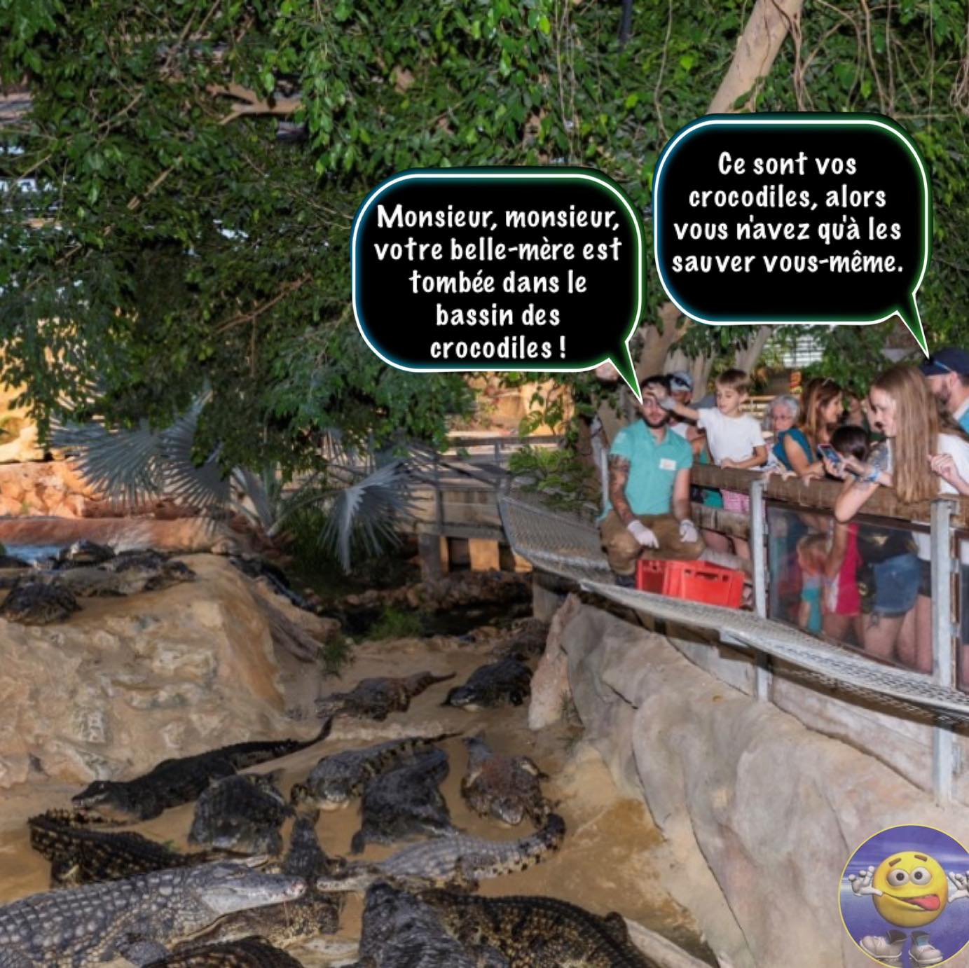 457136235_962883082517617_3651385554891216693_n