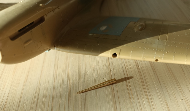 IMG_20250202_140709 (1)