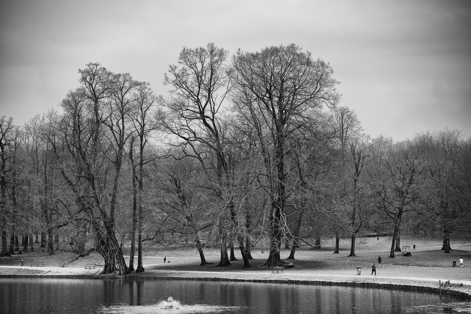 DSC_4288 (1).
