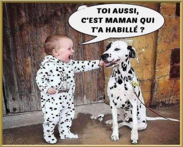 2025-02-28 15_48_07-Humour en vrac N?96 - Perroquet34740 - justpourire vrac.pdf - Mozilla Thunderbir