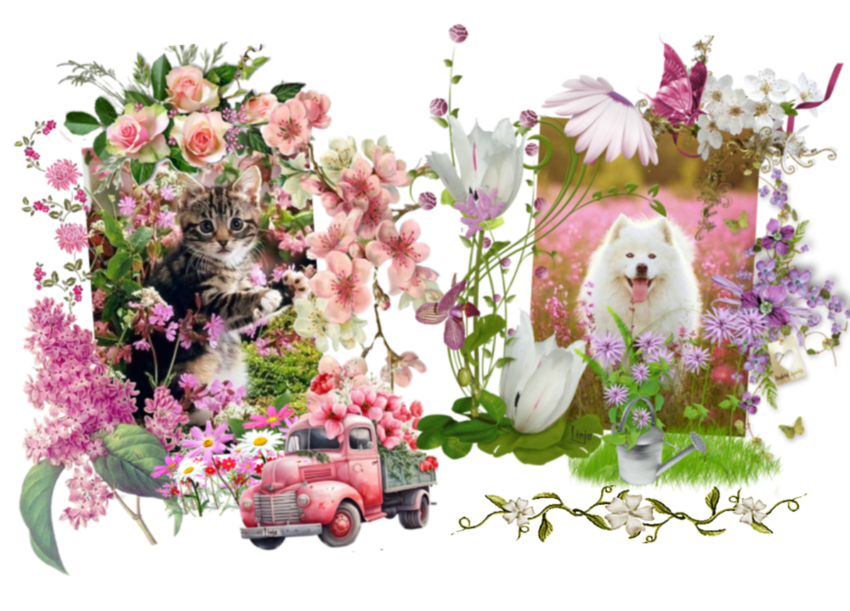 Mon image