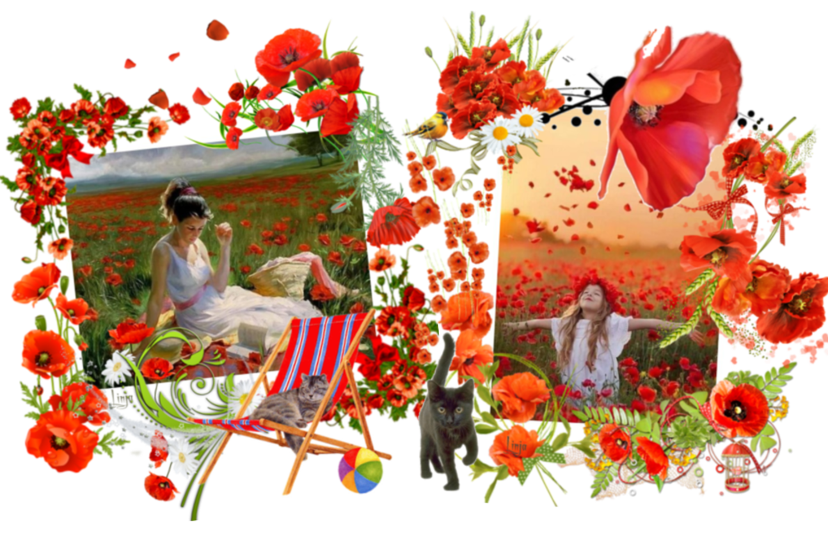 Mon image
