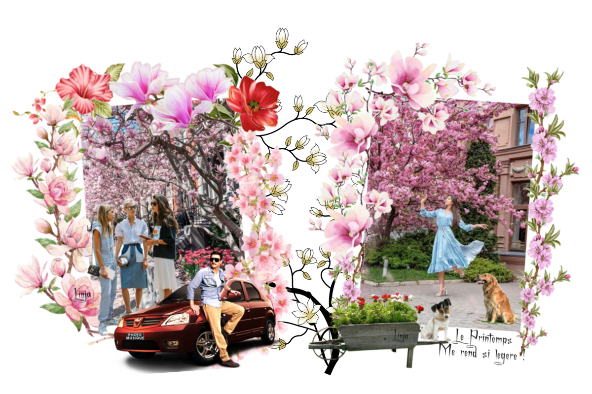 Mon image