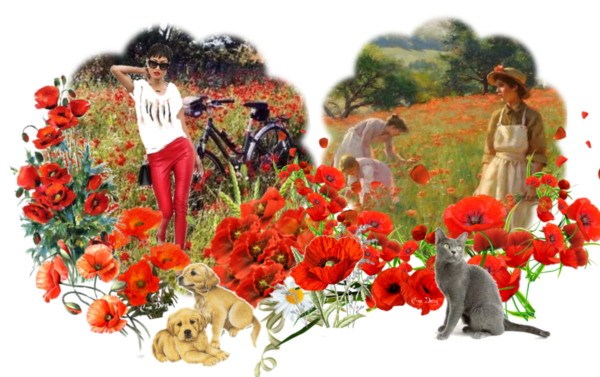 Mon image