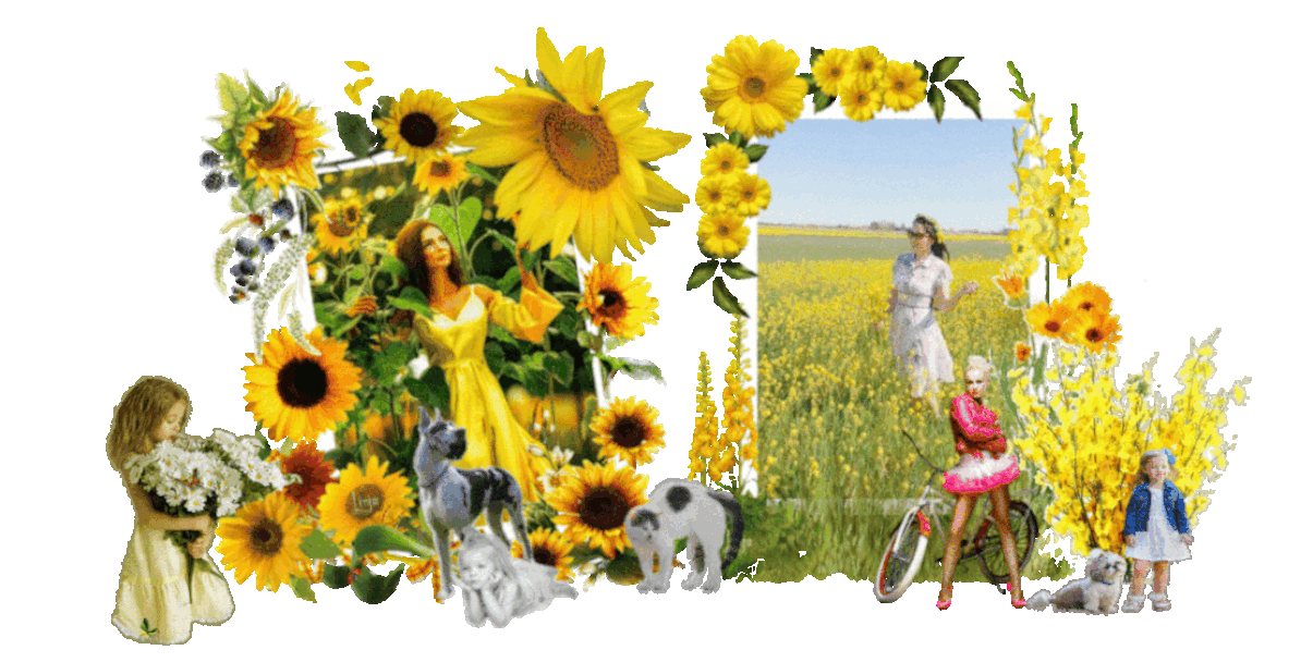 Mon image