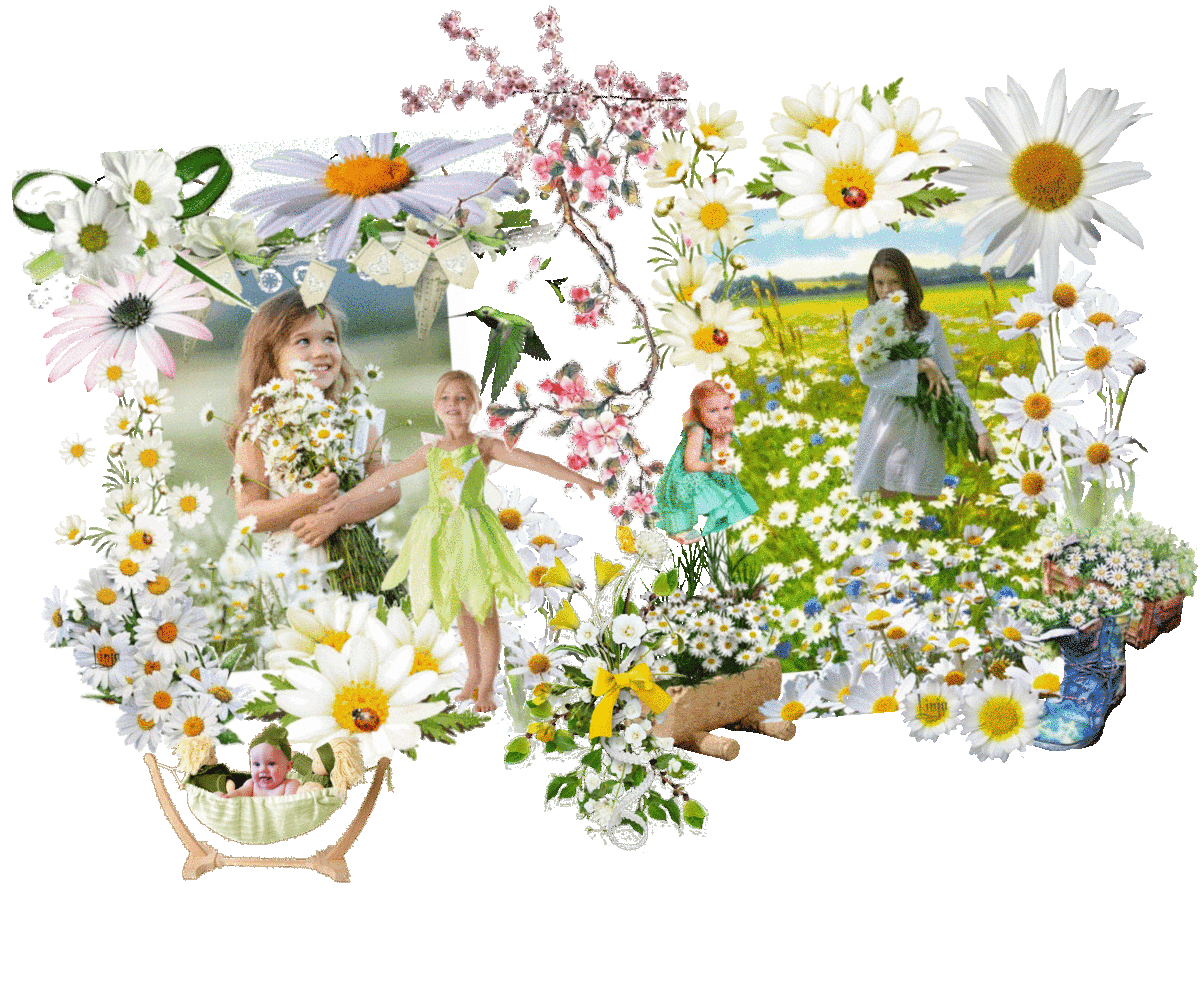 Mon image