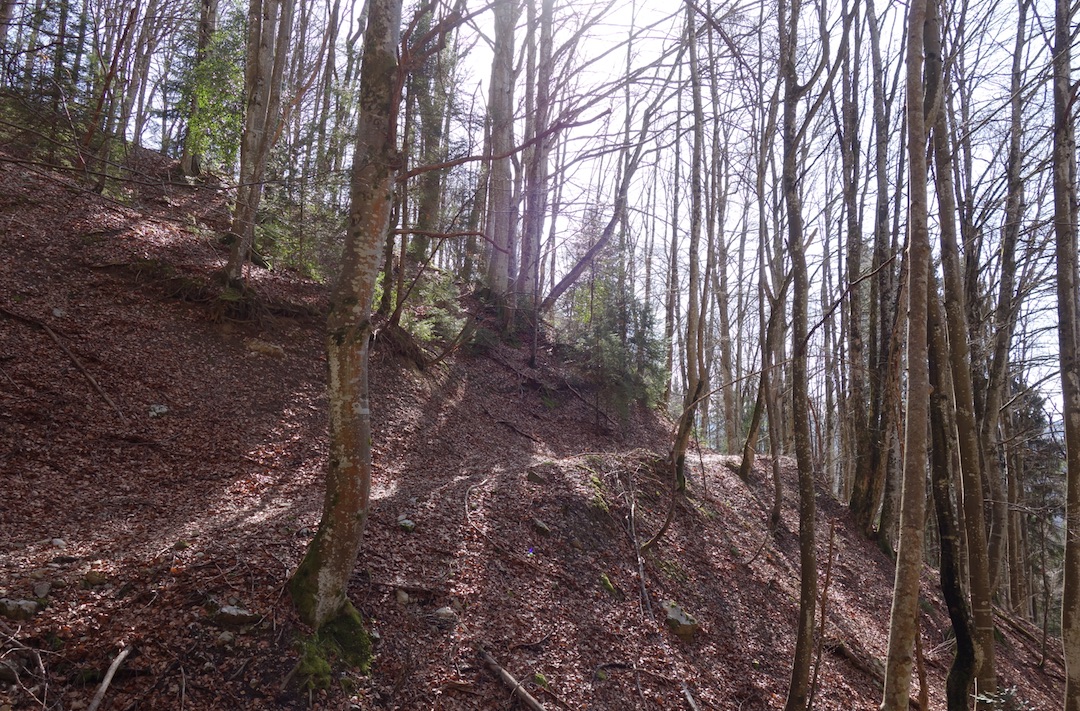 25040406330722055118568857.jpg