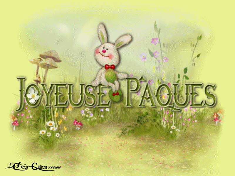 1.P&acirc;ques 027