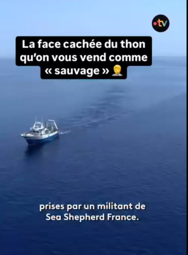 2025-04-25 16_47_09-1333447624312913 - Lecteur multim?dia VLC