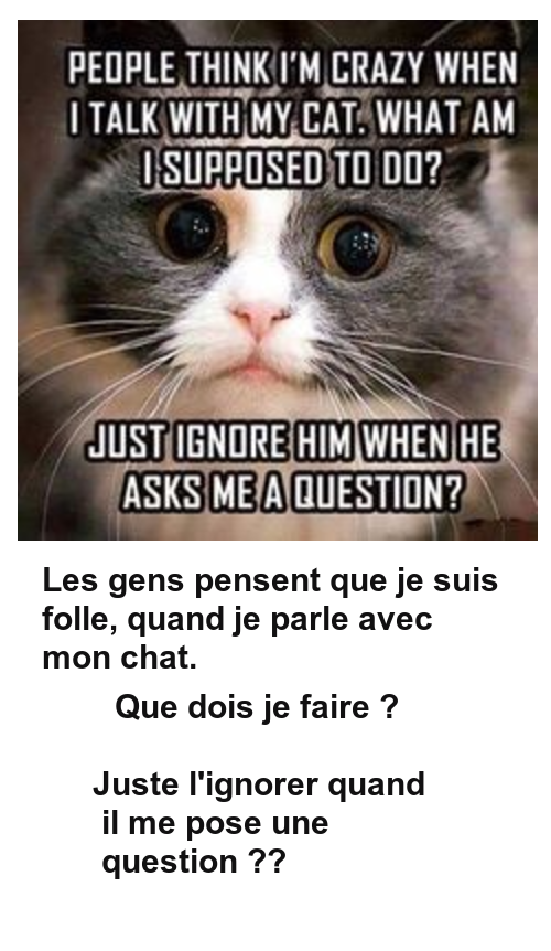 Mon image