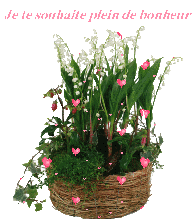 Mon image