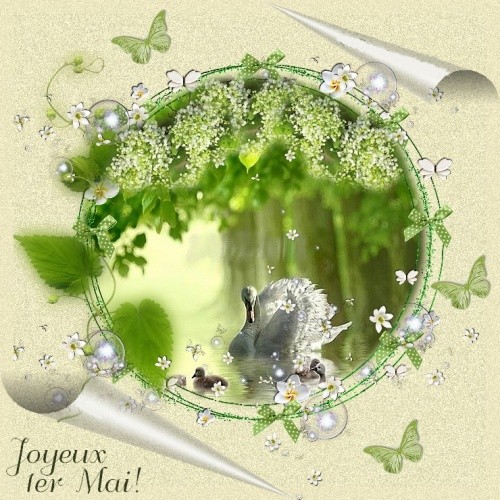 Mon image