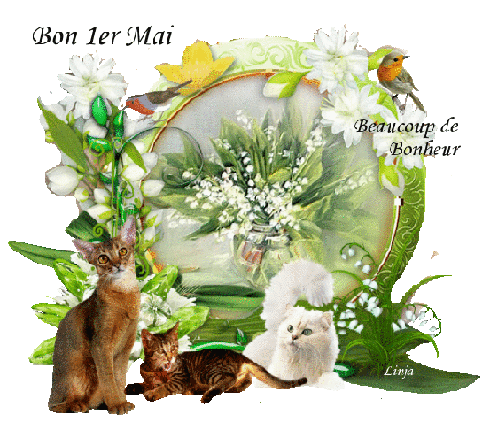 Mon image