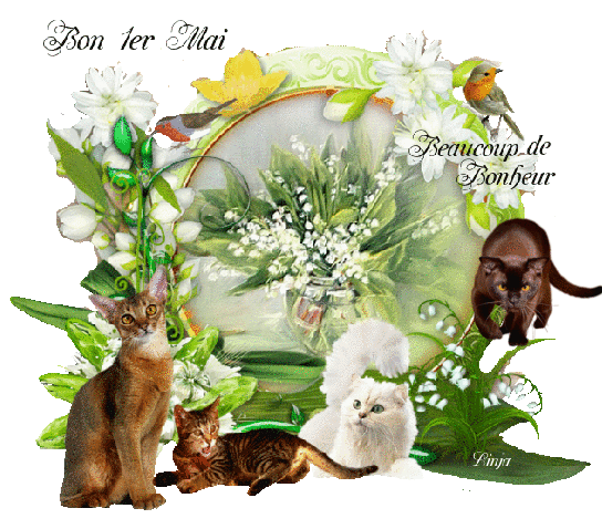 Mon image