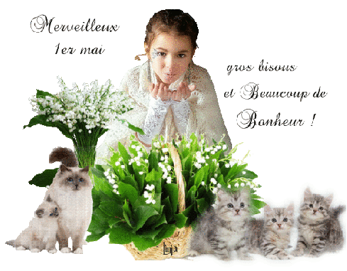 Mon image