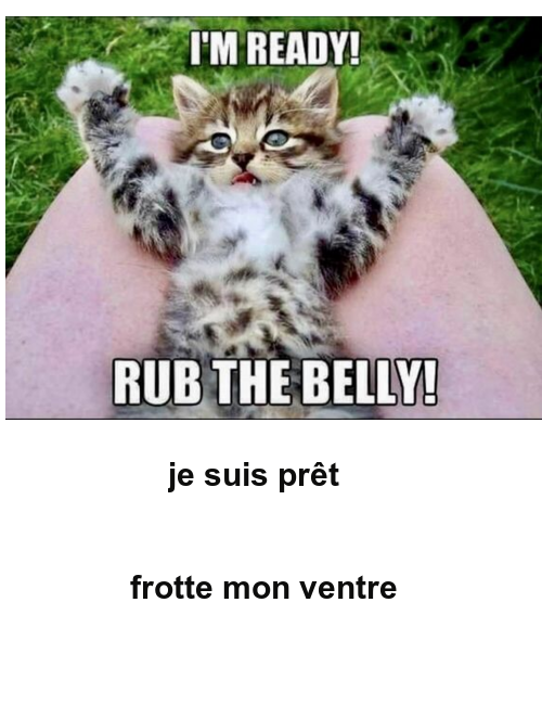 Mon image