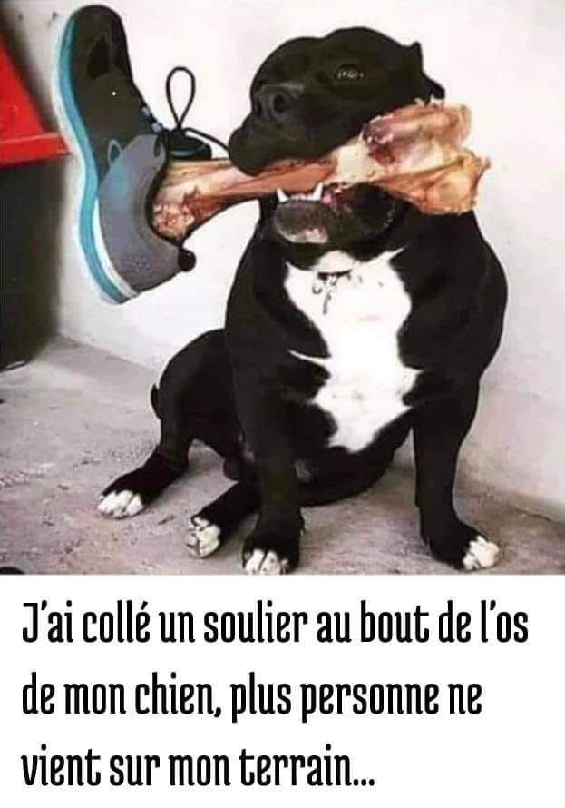 334043022_727647655583367_4215938516001712852_n