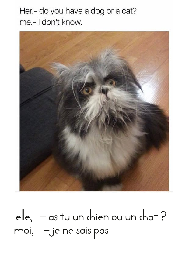 Mon image