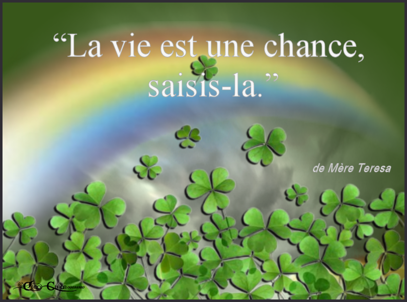 7.Chance 004