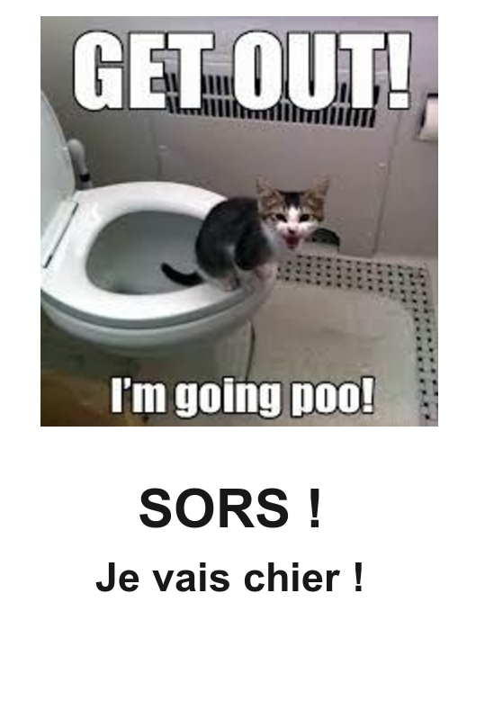 Mon image