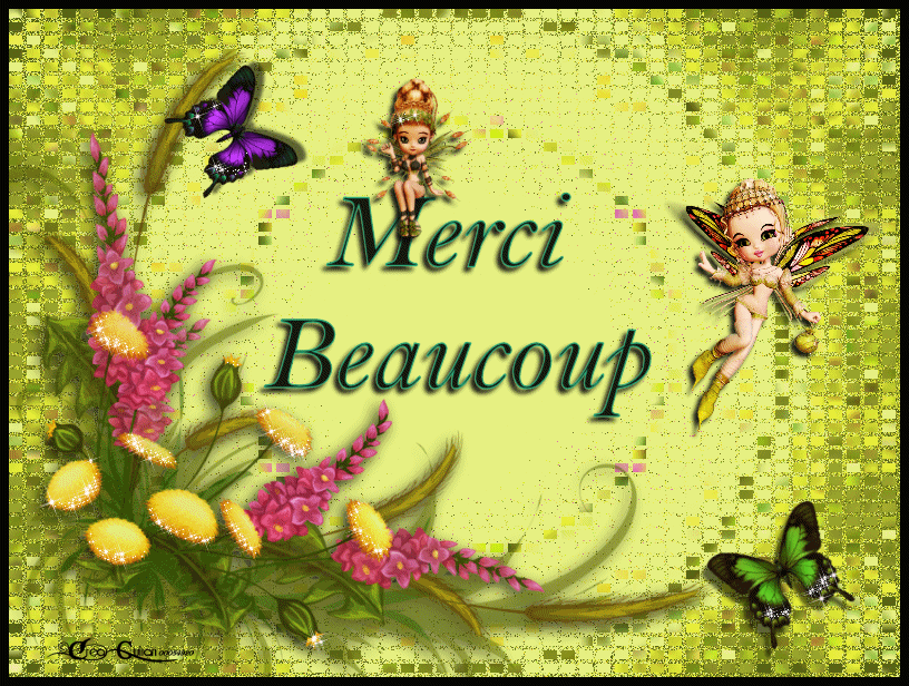 3.Remerciements 022
