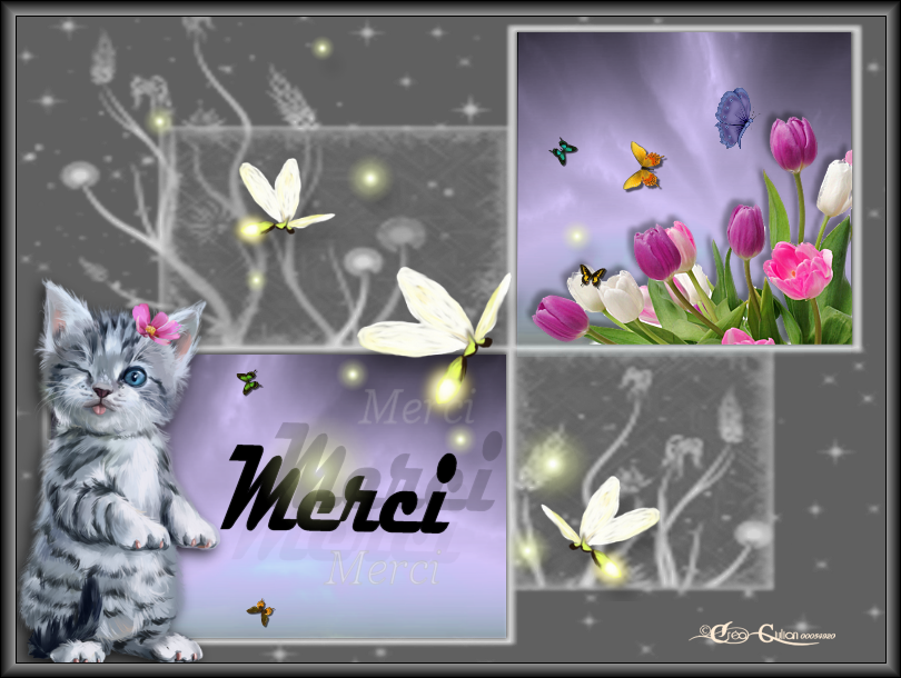 3.Remerciements 024